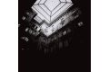 Lomography Earl Grey, ISO 100, 120 Format, B&W Film — 3-Pack