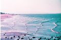 2021 LomoChrome Purple Pétillant, ISO 100–400, 35mm, 36 exp Color Print Film