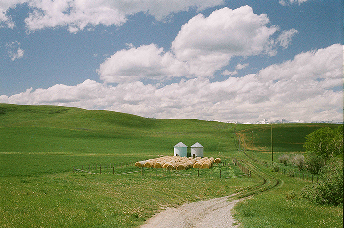 Flic Film Fusion 200, 35mm x 36 Exp