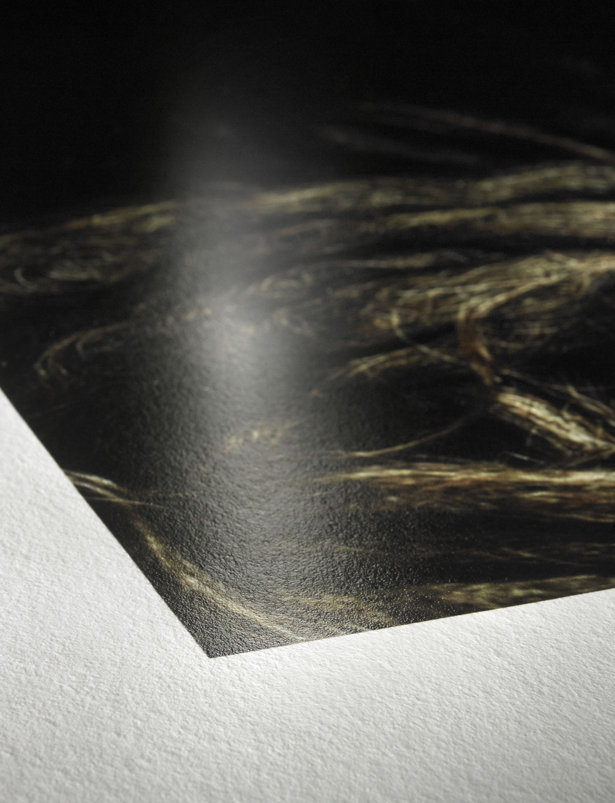 Hahnemuhle Photo Rag Baryta Paper 315 gsm 24" x 39 foot Roll