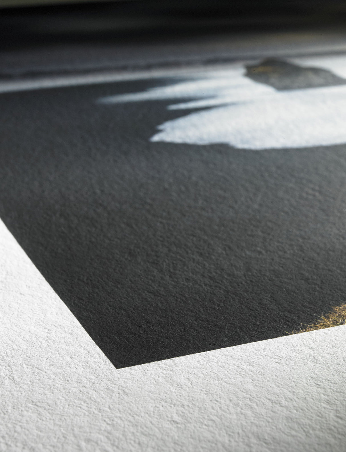 Hahnemuhle Photo Rag Paper, 310 gsm 13" x 19" / 25
