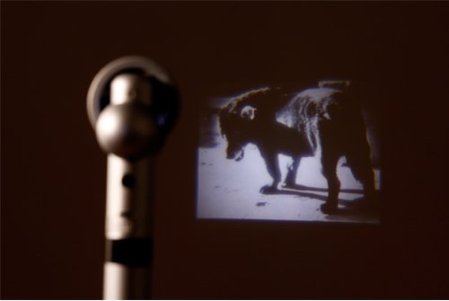 MORIYAMA Plamodel DIY Camera + MORIYAMA Projector Pen Bundle