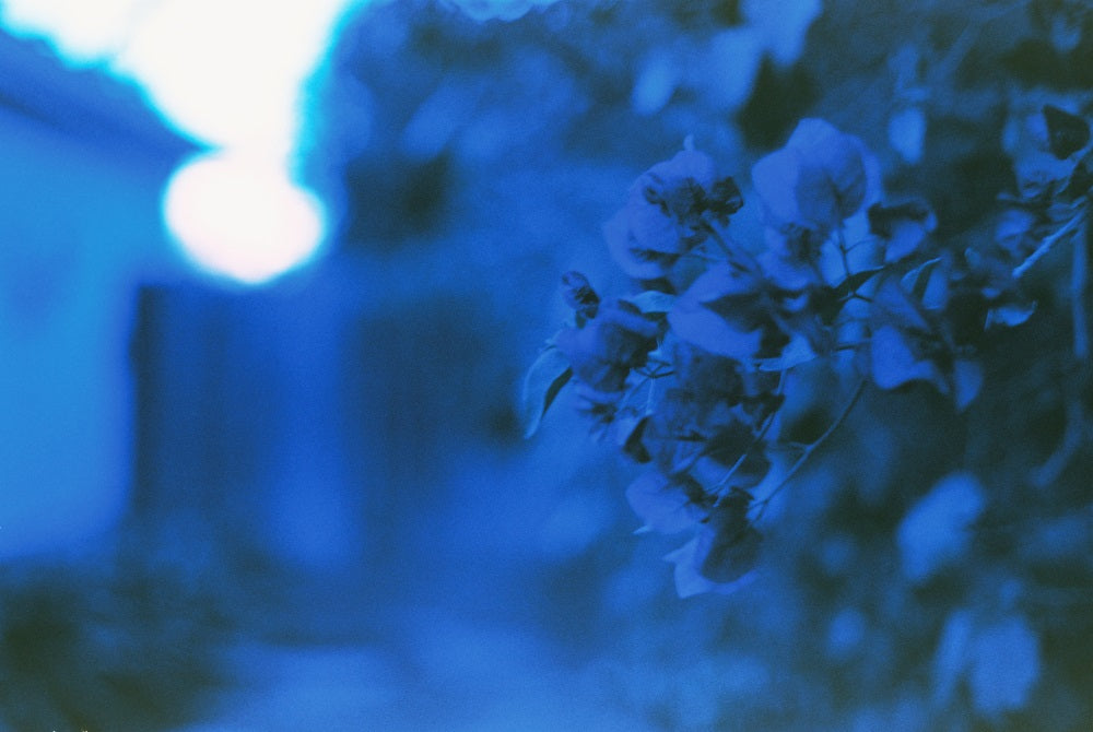 Ultrafine JAZZY BLUES — Experimental Color Print Film, 35mm x 36 ISO 25