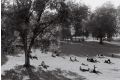 Lomography Berlin Kino, ISO 400, 35mm, 36 exp, B&W Film