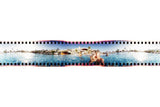 Lomography Spinner 360 Degree, 35mm Camera