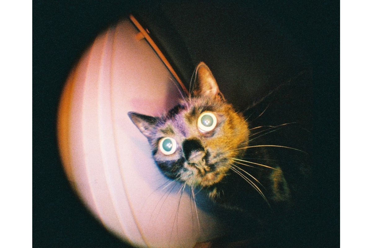 Lomography Fisheye Baby Camera, 110 Format, 170 Degree Lens, Bauhaus Edition