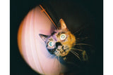 Lomography Fisheye Baby Camera, 110 Format, 170 Degree Lens, Bauhaus Edition