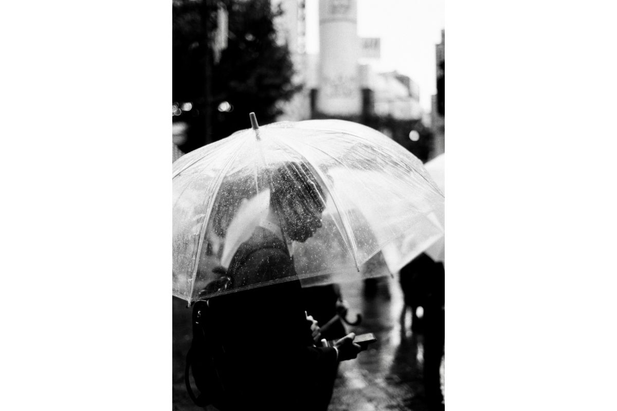 Lomography Earl Grey, ISO 100, 35mm, 36 exp, B&W Film — 3-Pack