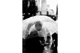 Lomography Earl Grey, ISO 100, 35mm, 36 exp, B&W Film — 3-Pack