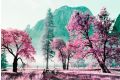 2021 LomoChrome Purple Pétillant, ISO 100–400, 35mm, 36 exp Color Print Film