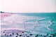2021 LomoChrome Purple Pétillant, ISO 100–400, 35mm, 36 exp Color Print Film