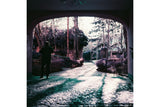 2021 LomoChrome Purple Pétillant, ISO 100–400, 120 Format, Color Print Film