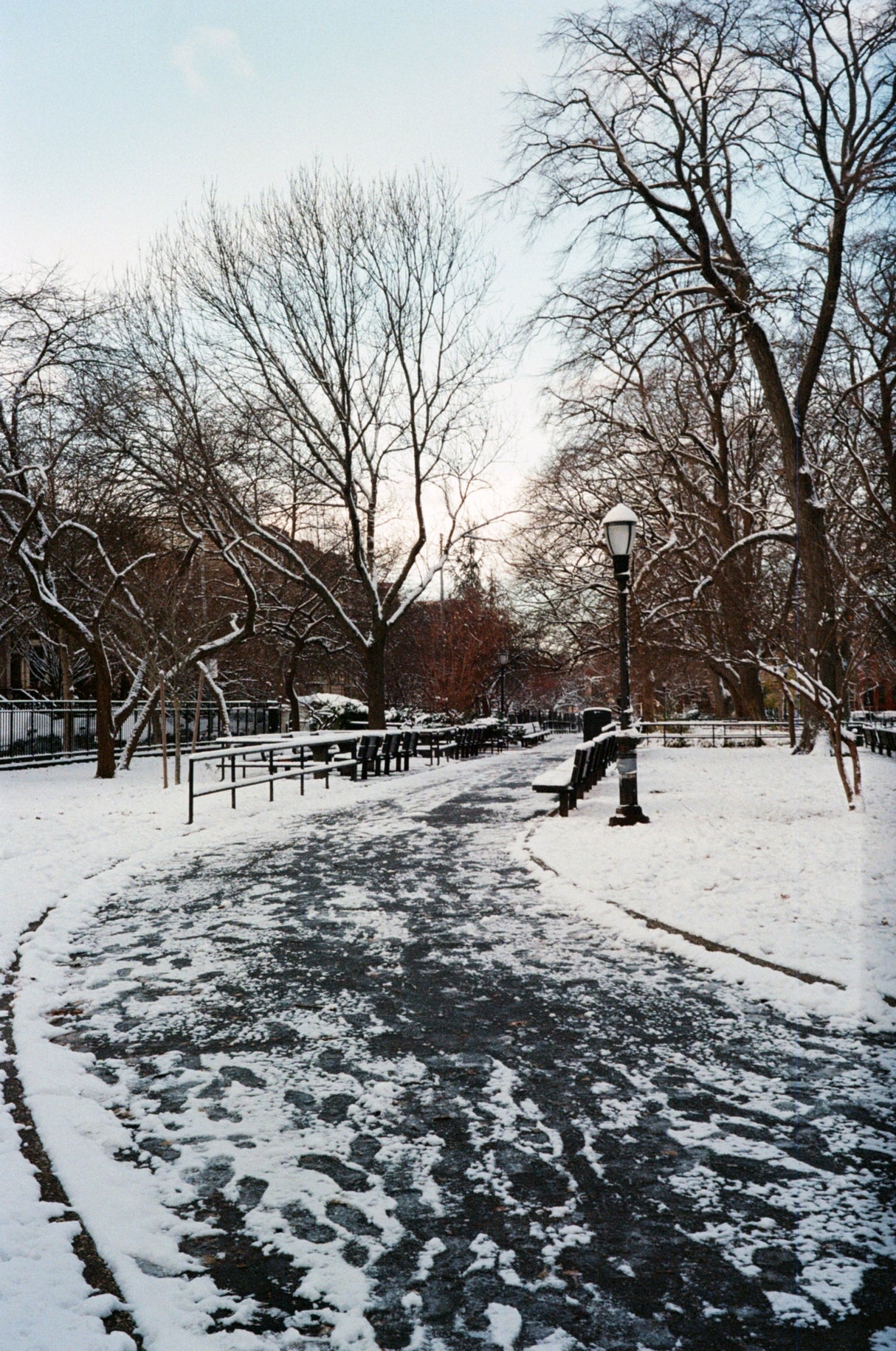 Flic Film Aurora 400, 35mm x 36 Exp