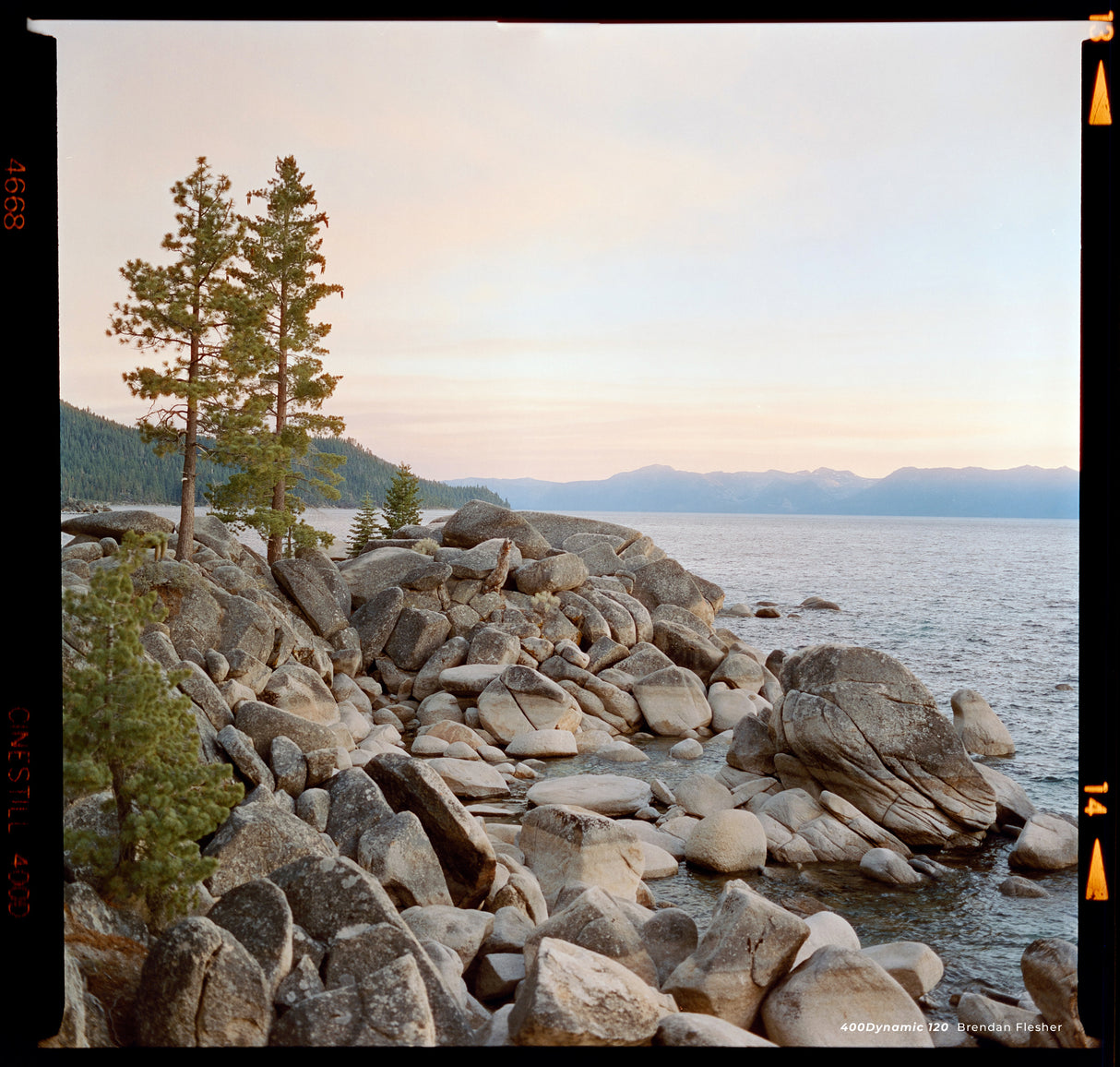Cinestill 400 Dynamic, C-41 Color Negative 120 Format Film