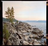 Cinestill 400 Dynamic, C-41 Color Negative 120 Format Film