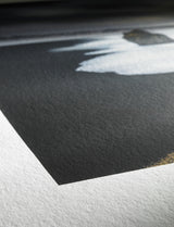 Hahnemuhle Photo Rag Paper, 310 gsm 11" x 17" / 25