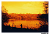 HARMAN technology RED 125 35mm Color Negative REDSCALE Film - 36 Exposures